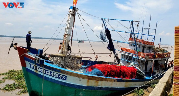 Localidades vietnamitas intensifican la lucha contra la pesca INDNR - ảnh 1