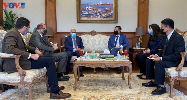 Vietnam, Egypt boost cooperation between localities - ảnh 1