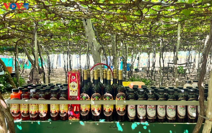 Trauben: landwirtschaftliche Früchte und touristische Produkte in Khanh Hoa - ảnh 3