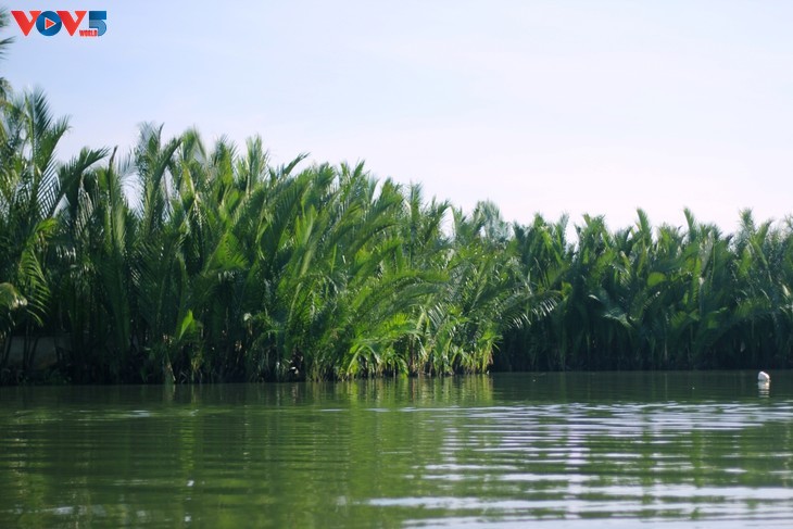Kokosnusswald Bay Mau inmitten der Altstadt von Hoi An - ảnh 4