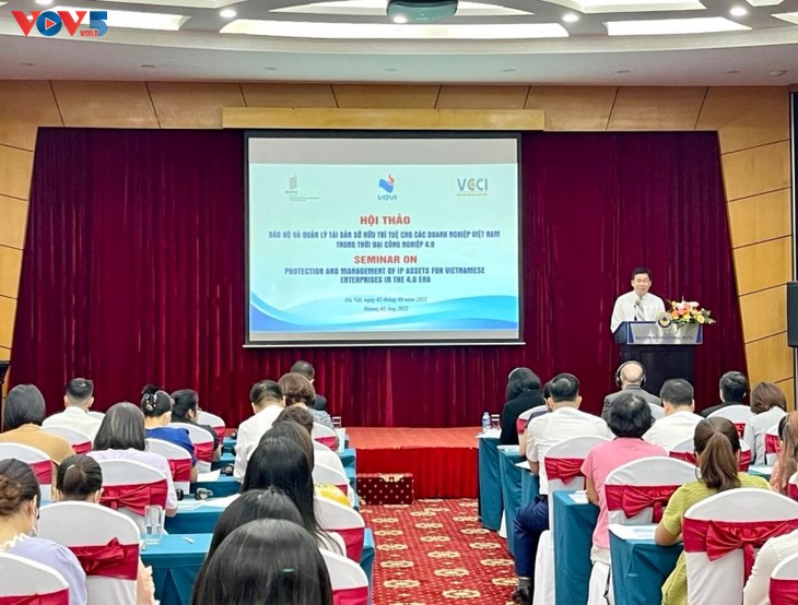 Schutz des geistigen Eigentums  - ảnh 1