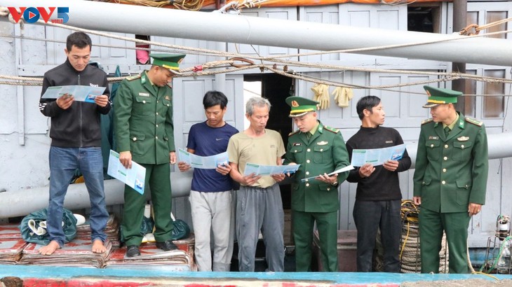 ​ບັນ​ຍາ​ກາດ​ທີ່​ຄຶກ​ຄື້ນ​ຂອງການ​ເດີນ​ທະ​ເລ​ຫາ​ປາ ​ຍາມ​ທ້າຍ​ປີ - ảnh 4