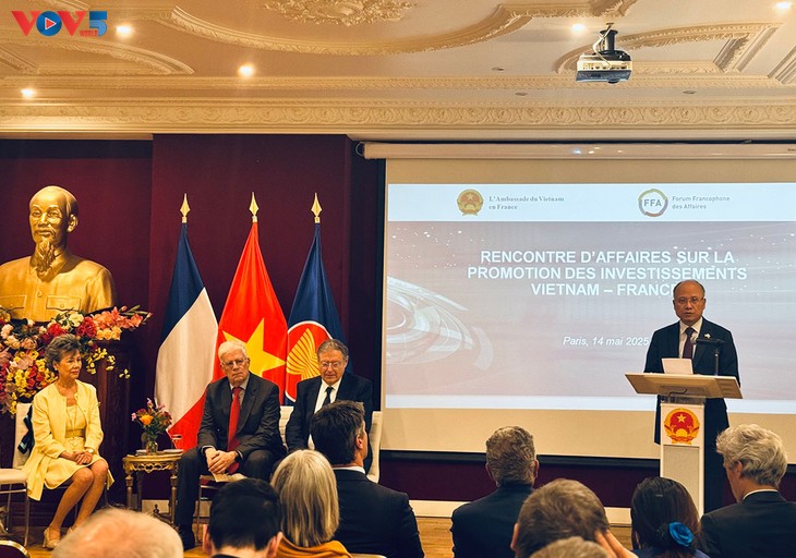 Les entreprises françaises misent sur le potentiel économique du Vietnam - ảnh 2