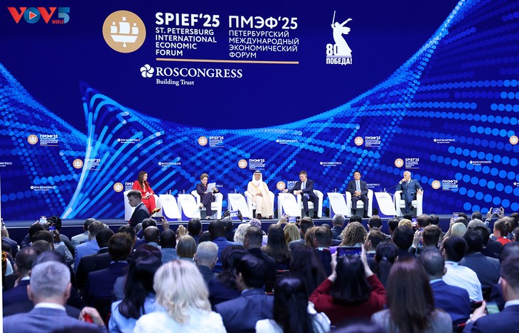 Forum de Saint-Pétersbourg: le Vietnam prône une diplomatie pacifique - ảnh 2