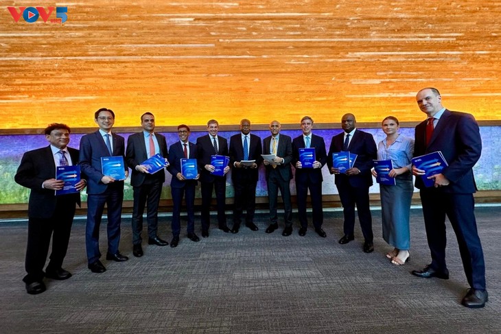 Le Pacte pour l’avenir désormais disponible en vietnamien aux Nations Unies - ảnh 1