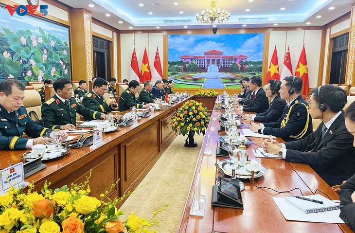 Singapour prêt à accueillir des officiers vietnamiens en formation - ảnh 2