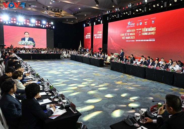 Pham Minh Chinh au Dialogue de haut niveau du Forum de l’économie privée du Vietnam 2025 - ảnh 3