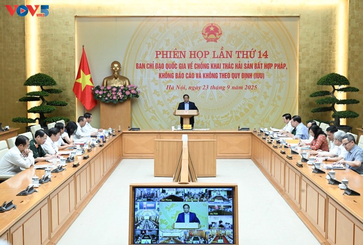 Pham Minh Chinh: il faut obtenir la levée du carton jaune de la CE dès cette année - ảnh 2