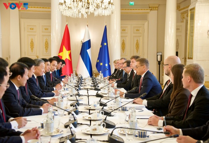 Le Vietnam et la Finlande élèvent leurs relations au rang de partenariat stratégique - ảnh 1
