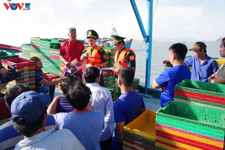 Hô Chi Minh-Ville intensifie la lutte contre la pêche illicite - ảnh 2