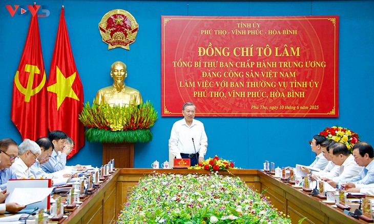 Réforme institutionnelle: Tô Lâm travaille avec les autorités des provinces de Phu Tho, Vinh Phuc et Hoa Binh - ảnh 2