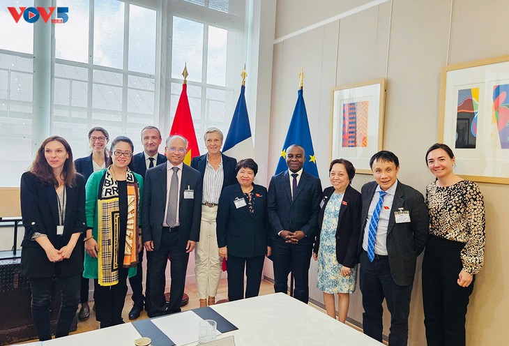 Une délégation parlementaire vietnamienne en France  - ảnh 2