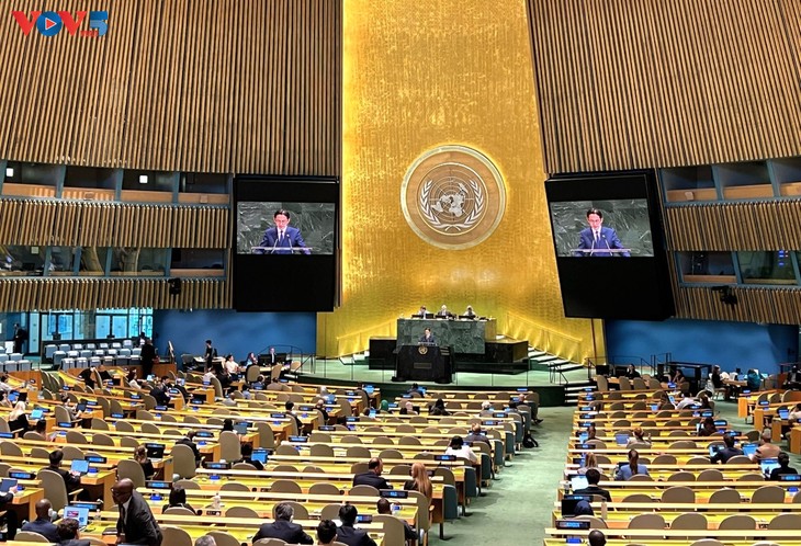 Le Vietnam réaffirme son soutien à la solution à deux États  - ảnh 2