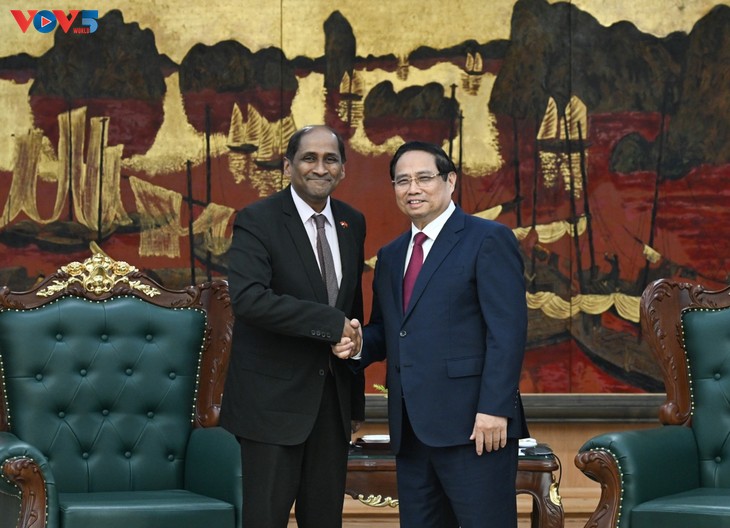 Pham Minh Chinh reçoit les ambassadeurs d’Indonésie et de Singapour en fin de mission - ảnh 2