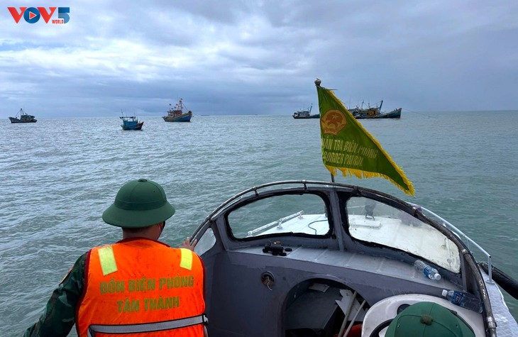 Lâm Dông a rempli 17 des 19 tâches liées à la lutte contre la pêche INN - ảnh 1