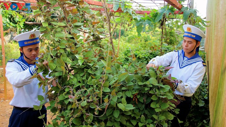 Thông tin biển đảo Việt Nam  - ảnh 2