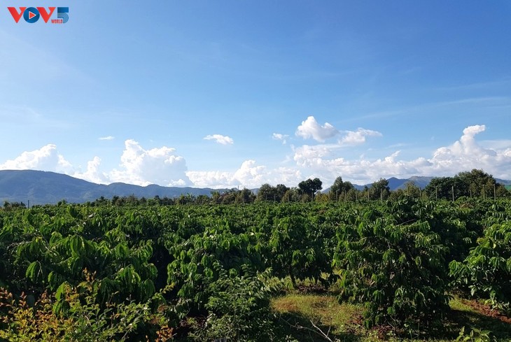 หมู่บ้านแก๊บอนุรักษ์อาชีพทอผ้าพื้นเมืองและพัฒนาการท่องเที่ยวชุมชน - ảnh 3