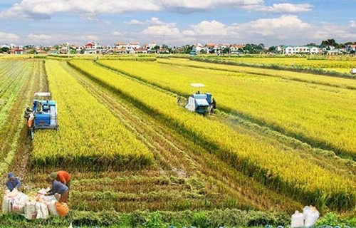 Construyendo una cadena de producción sostenible y responsable – Vietnam.vn