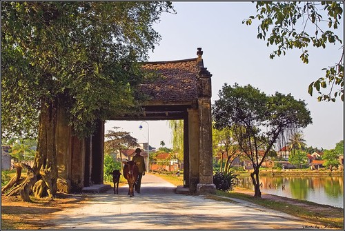 Dự án bảo tồn di sản văn hóa ở làng cổ Đường Lâm