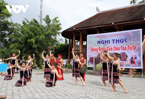 Vietnam persists in preserving, promoting cultural values of ethnic
