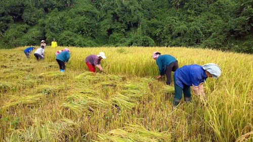 Vietnam prioriza la reducción de la desigualdad económica en el nuevo período de desarrollo - ảnh 2