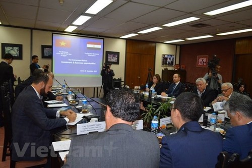 Vietnam busca marcar hitos históricos en las relaciones diplomáticas con Etiopía y Egipto  - ảnh 3