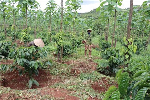 Vietnam persevera en la reducción sostenible de la pobreza - ảnh 1