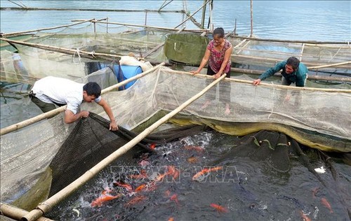 Vietnam persevera en la reducción sostenible de la pobreza - ảnh 2