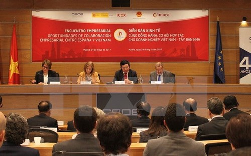 España, primer destino de inversiones vietnamitas en 2019 - ảnh 1