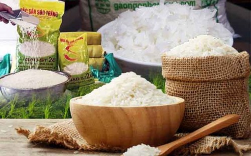 Promueven el cultivo del arroz ST25 en Vietnam  - ảnh 1