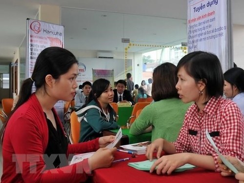 Organización Internacional del Trabajo comprometida a apoyar a Vietnam en medio del Covid-19 - ảnh 1