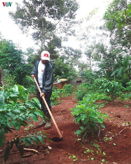 Agricultores de provincia altiplánica prosperan gracias al cafeto y otros cultivos rotativos - ảnh 2