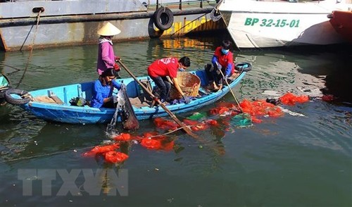 Lanzan concurso de creación de clip sobre la preservación ambiental de Vietnam - ảnh 1