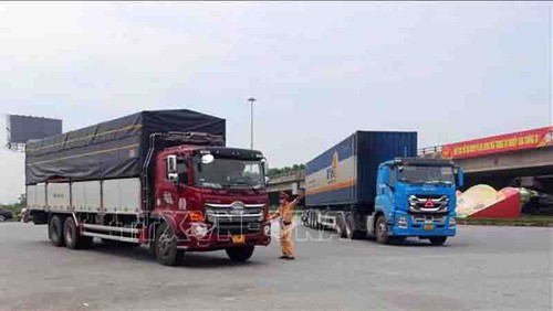 Garantizado el transporte de productos para la producción y las necesidades básicas en medio de la cuarta ola de la pandemia - ảnh 1