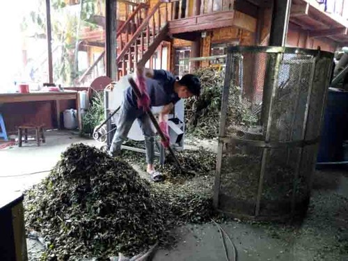 De hierbas tradicionales para bañarse a una marca millonaria - ảnh 2