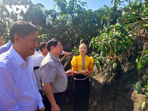 El primer ministro visita la zona de producción de Son La - ảnh 1