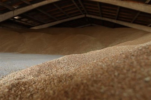 Ucrania recauda al menos 150 millones de dólares con la iniciativa de grano - ảnh 1