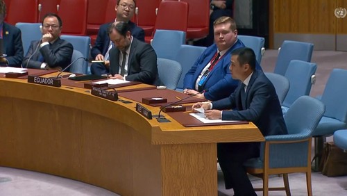 Vietnam solicita mayor protección para civiles en los conflictos armados - ảnh 1