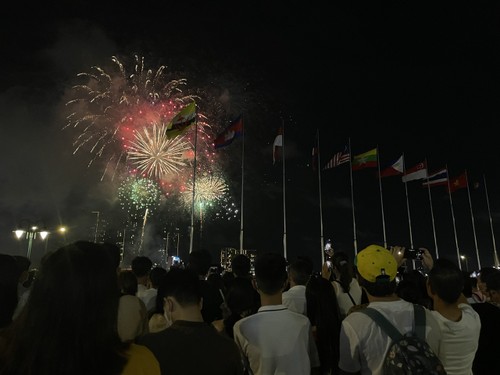 Actividades conmemorativas por el Día Nacional vibran en todo el país - ảnh 2