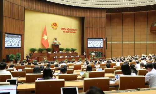 Asamblea Nacional interpelará a miembros del Gobierno la próxima semana - ảnh 1