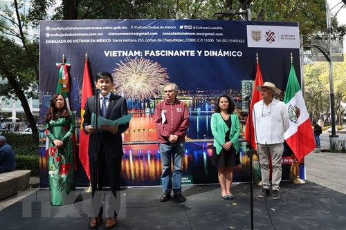 Colores culturales de Vietnam en las calles mexicanas - ảnh 1