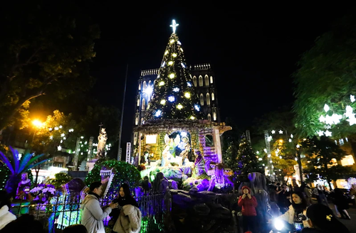 Reina el ambiente navideño en todo el país - ảnh 1