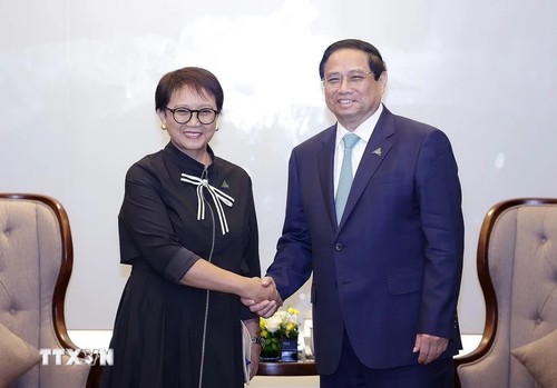 El Primer Ministro de Vietnam recibe a la Ministra de Asuntos Exteriores de Indonesia - ảnh 1