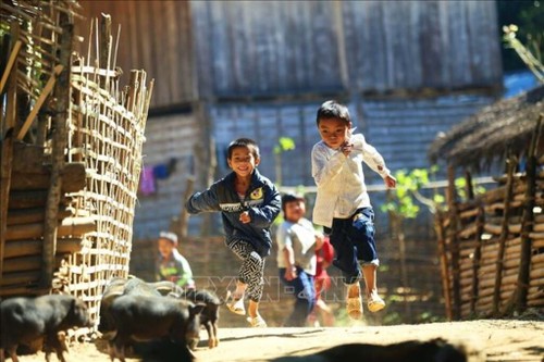 Experto ruso: Vietnam respeta y garantiza los derechos humanos - ảnh 1