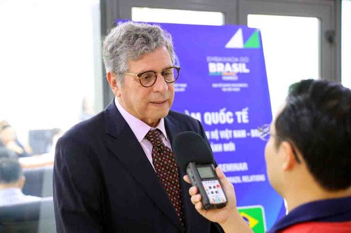 Debaten soluciones para promover las relaciones Vietnam-Brasil - ảnh 2