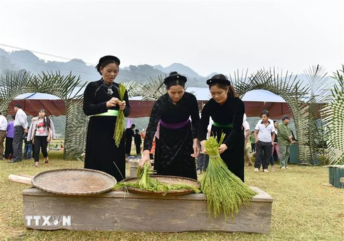 Festival de machaqueo de arroz glutinoso tierno en la cultura tradicional de los Tay - ảnh 1