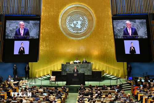 Desacuerdo y división reinan en Asamblea General de la ONU - ảnh 1