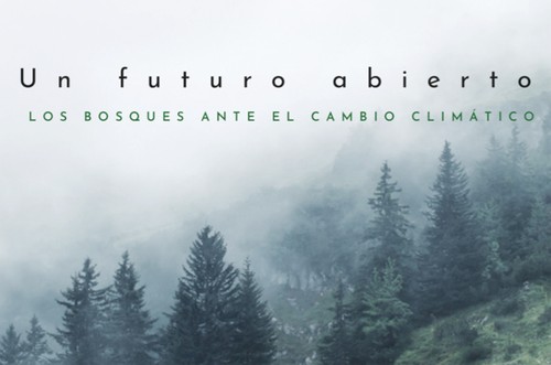 Exposición en Hanói sobre el papel de los bosques en el cambio climático - ảnh 1