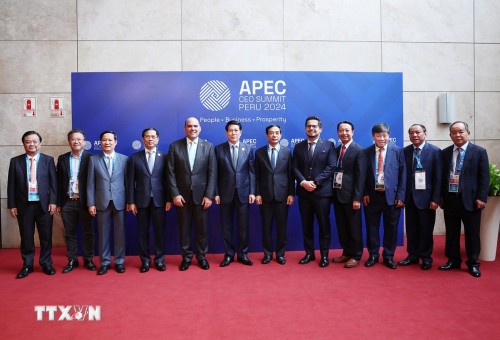 Vietnam respalda esfuerzos de APEC hacia una economía formal y global - ảnh 1