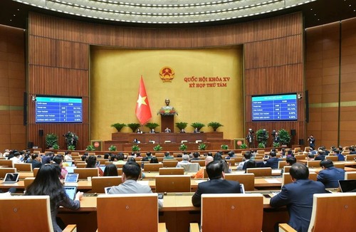 Parlamento de Vietnam aprueba política de inversión en programa de desarrollo cultural hasta 2035 - ảnh 1